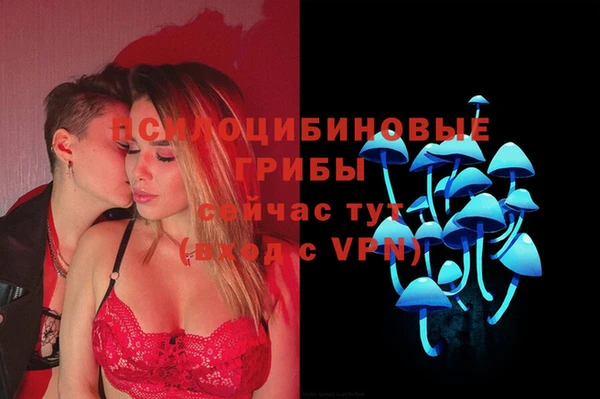 тгк Алексин
