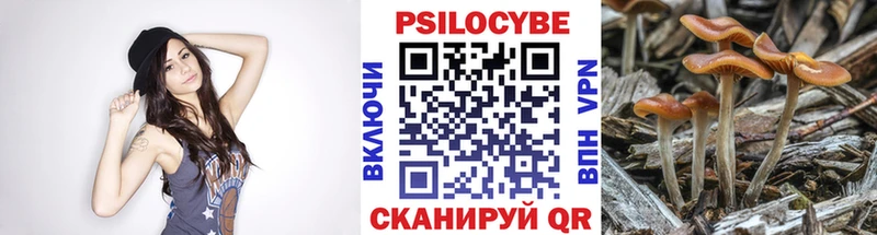 Галлюциногенные грибы мицелий  OMG зеркало  Среднеколымск  где найти наркотики 